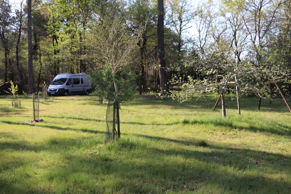 Aire camping-car  Saint-Symphorien (33113) - Photo 2